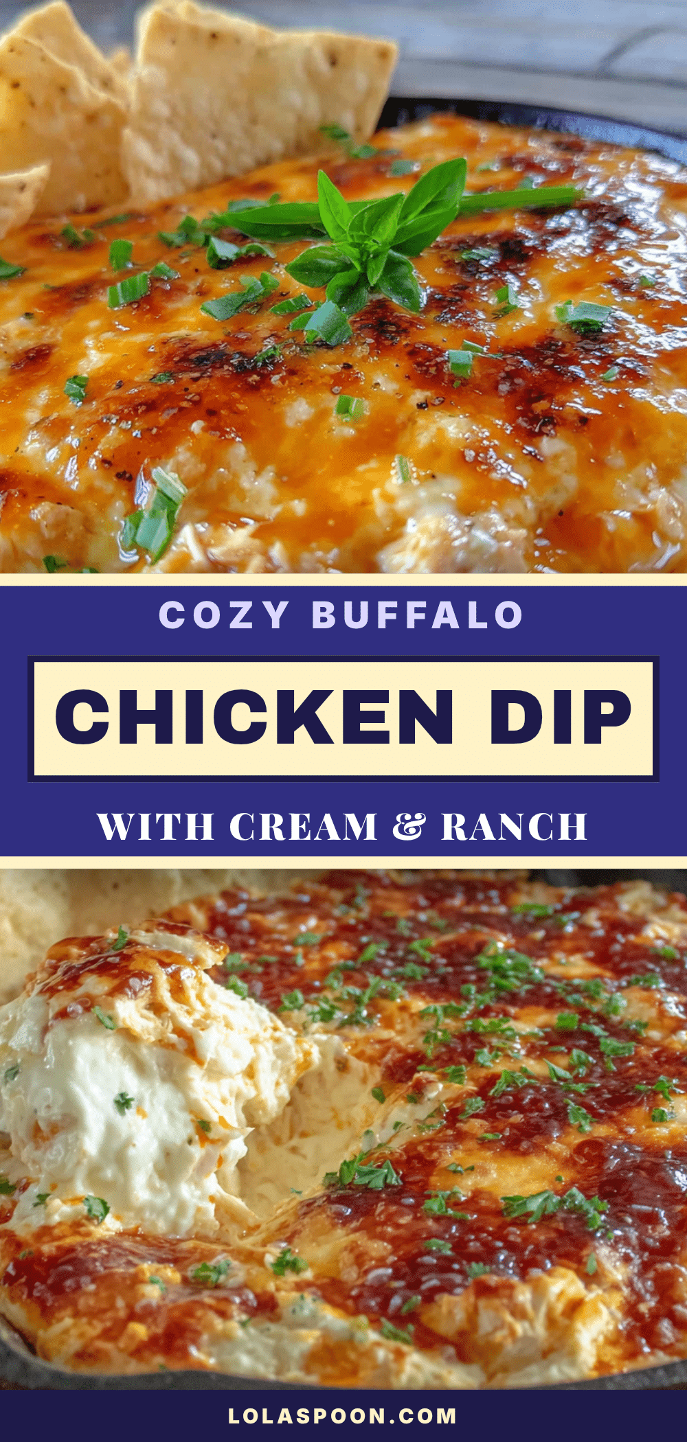 best easy cozy buffalo chicken dip recipe