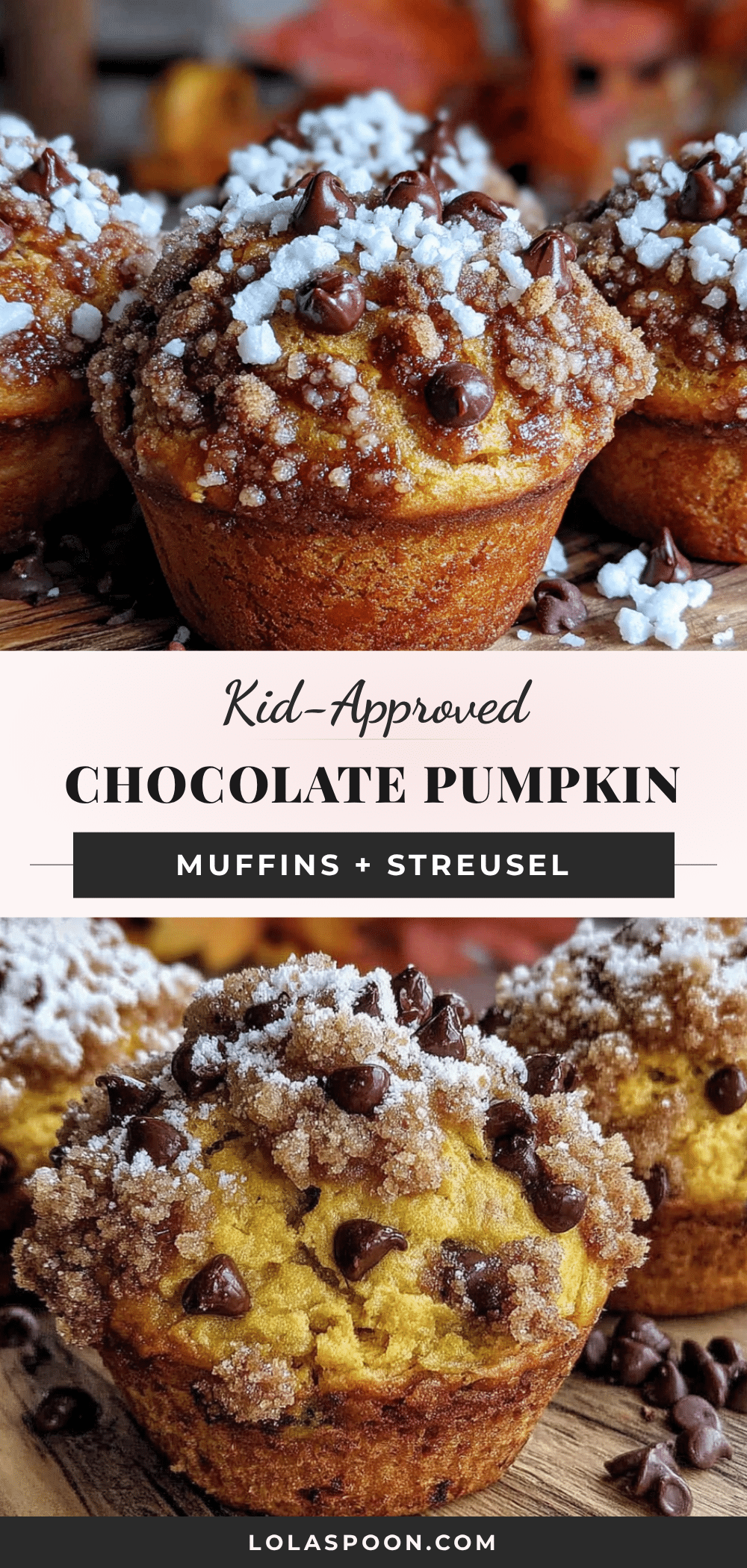 chocolate chip pumpkin muffins recipe